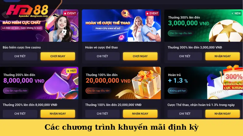 Các chương trình khuyến mãi định kỳ