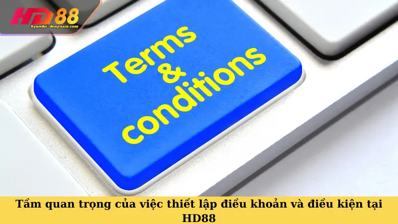 Tầm quan trọng của việc thiết lập điều khoản và điều kiện tại HD88