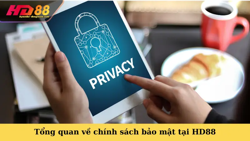 Tổng quan về chính sách bảo mật tại HD88